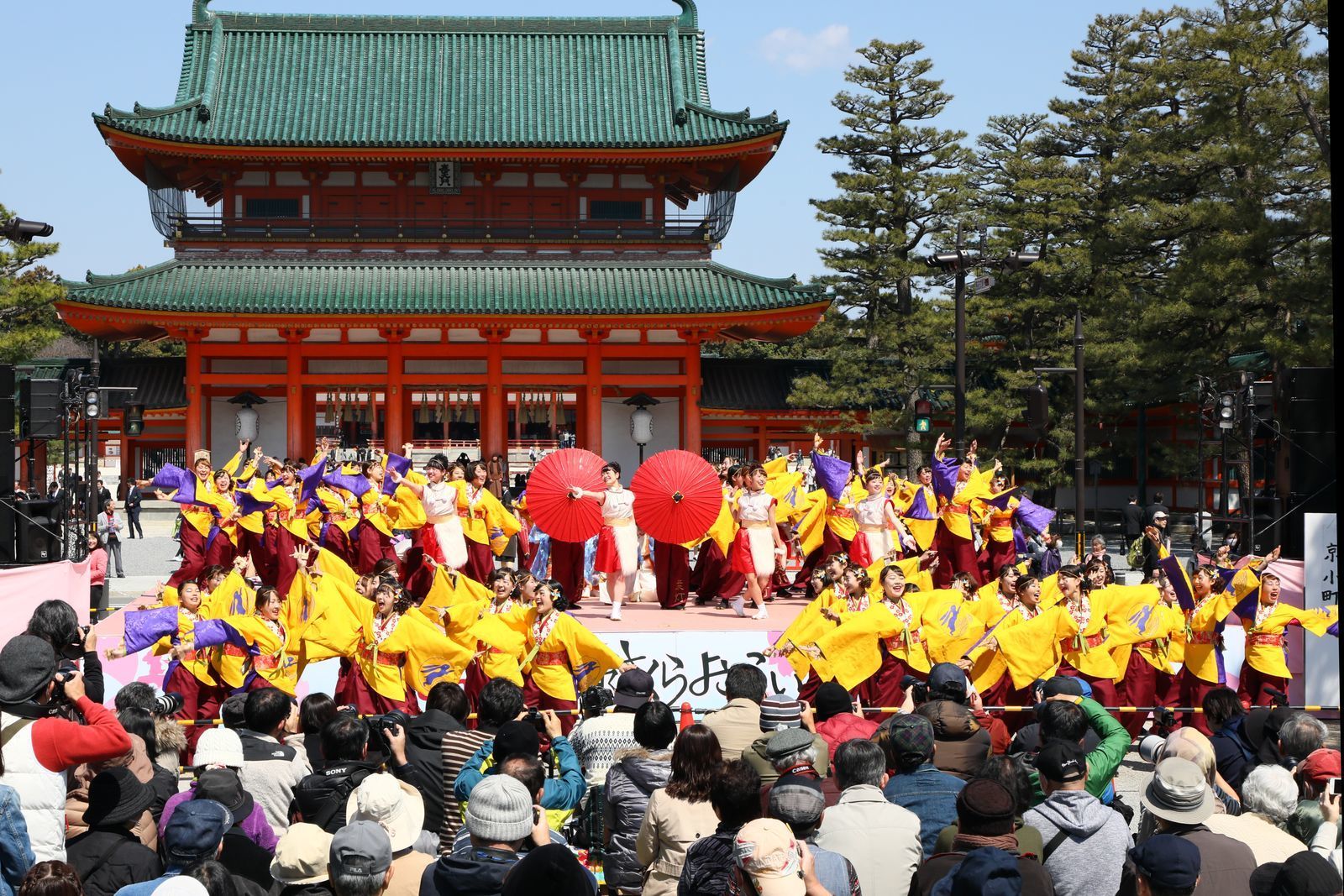 第１３回京都さくらよさこい ２０１７年４月２日 山河彩時記