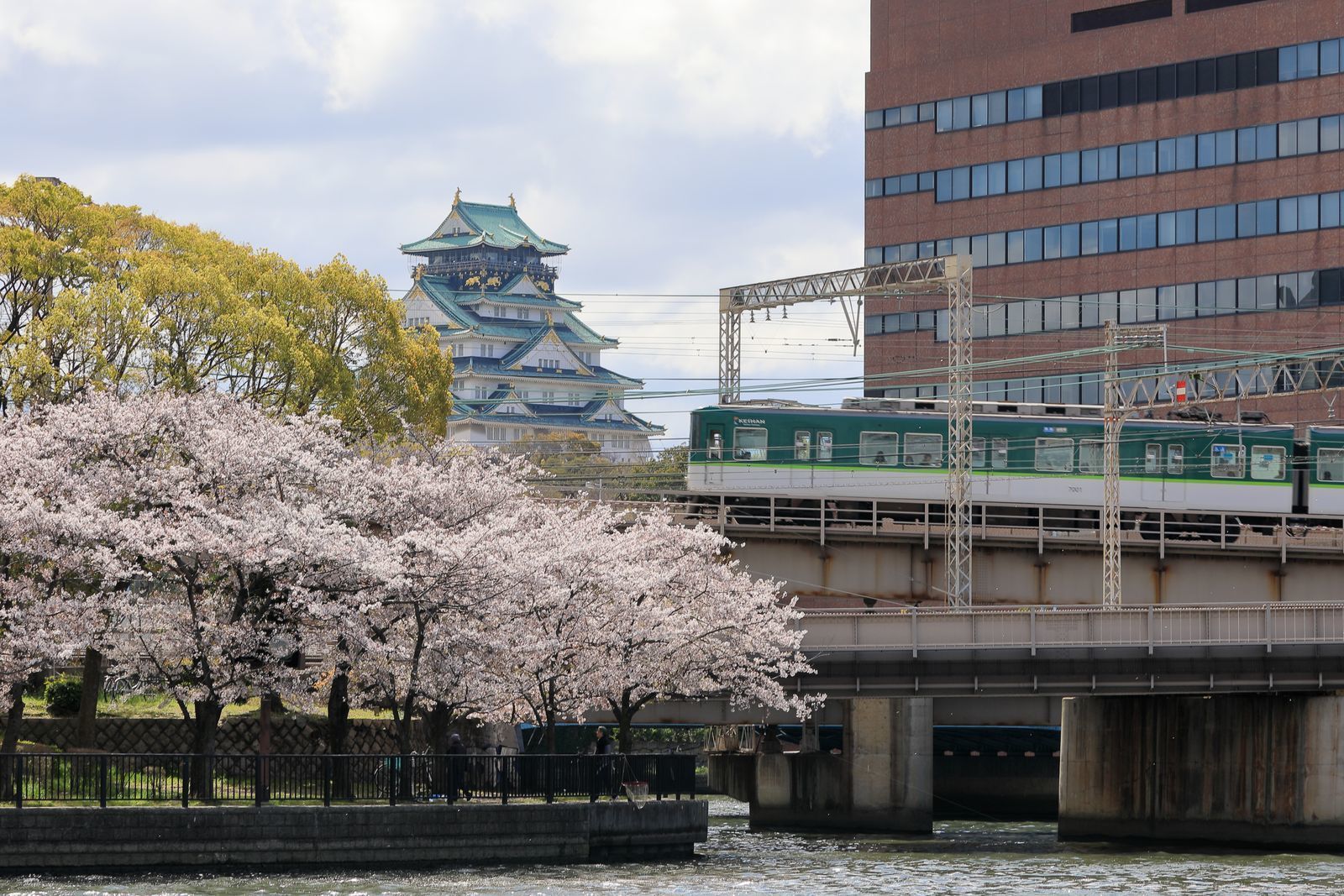 造幣局桜の通り抜けに行ってきました 山河彩時記