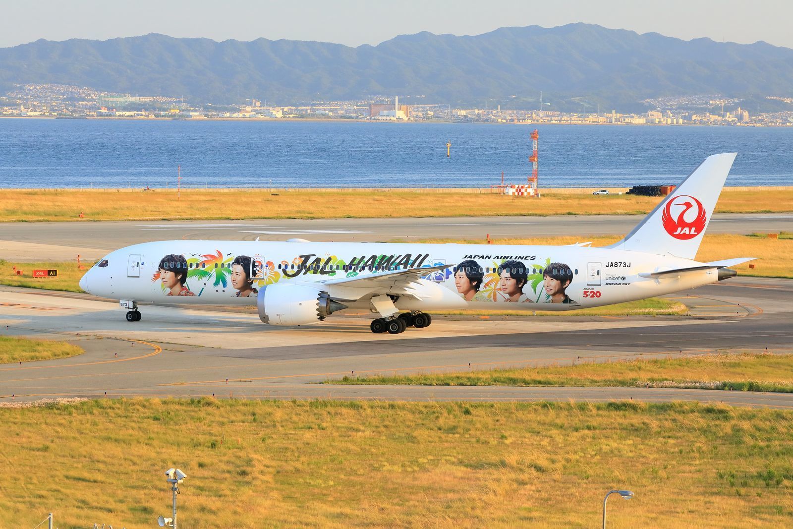 早々と「ARASHI HAWAII JET」特別塗装機が関空へ飛来！: 山河彩時記