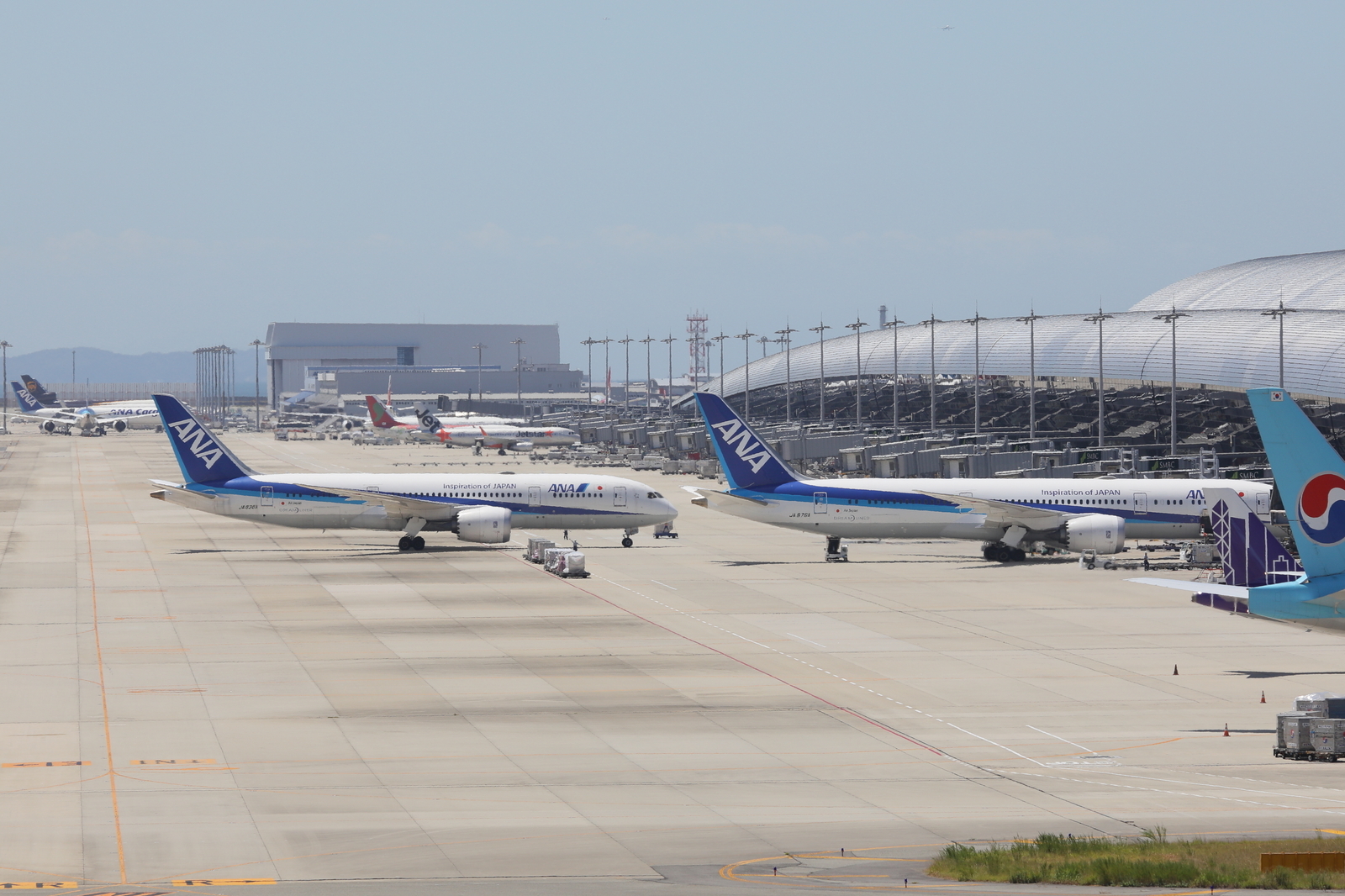 ａｎａのｂ７８７が関空へ 山河彩時記